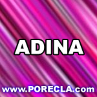 504-ADINA cu roz mare; juzld%u015F.
