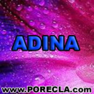 504-ADINA ingineru - poze avatare cu numele meu