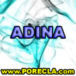 504-ADINA manager - poze avatare cu numele meu