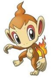 21614761_OSPOYZIZR - chimchar