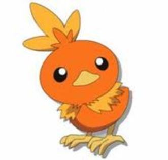 21614972_JZUTVOOHX - torchic