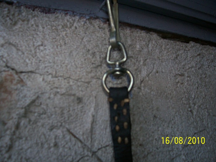 Picture 126 - capestre