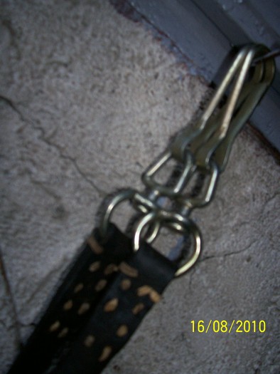 Picture 127 - capestre