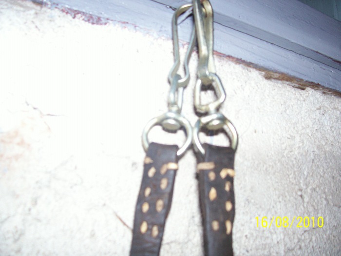 Picture 129 - capestre