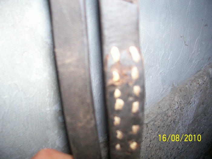 Picture 130 - capestre