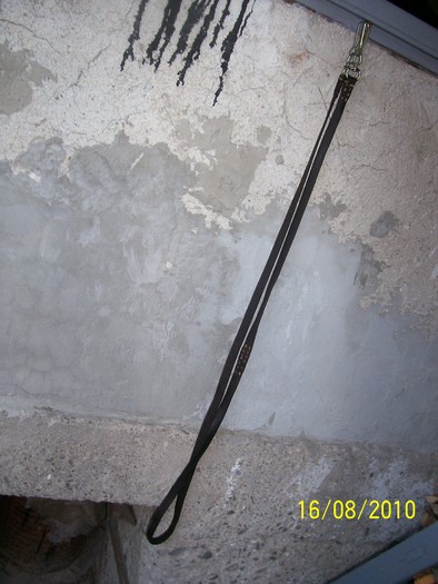 Picture 132 - capestre