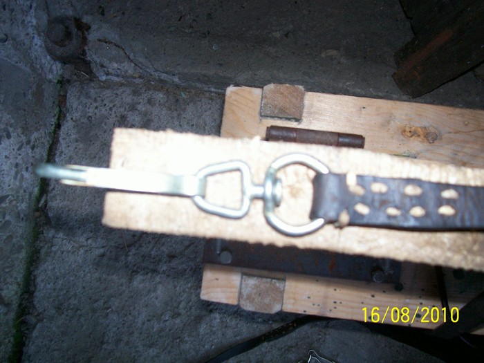 Picture 133 - capestre