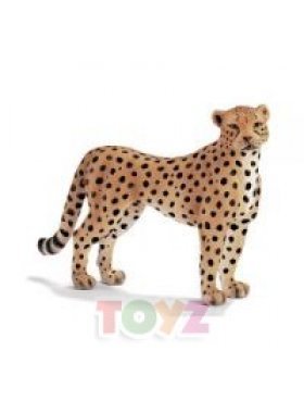 ghepard-femela--p26873