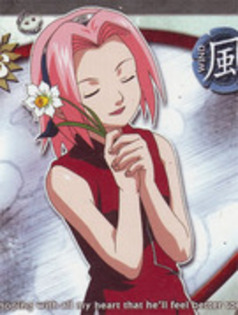 10026692 - sakura haruno