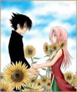 REGJOBOGXHSHZLZPVHO - cupluri sasusaku