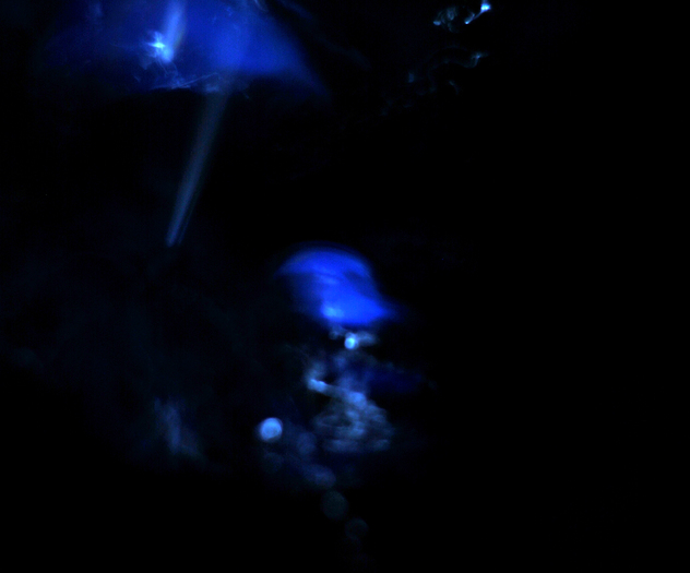 DSC_0457b - suflete albastre