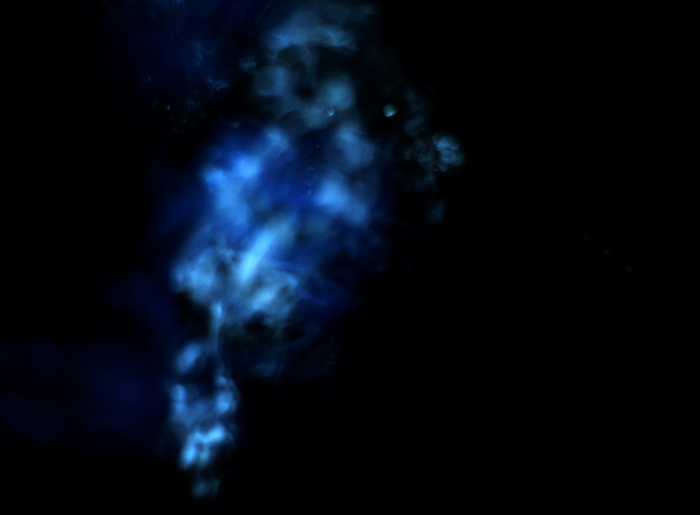 DSC_0458b - suflete albastre