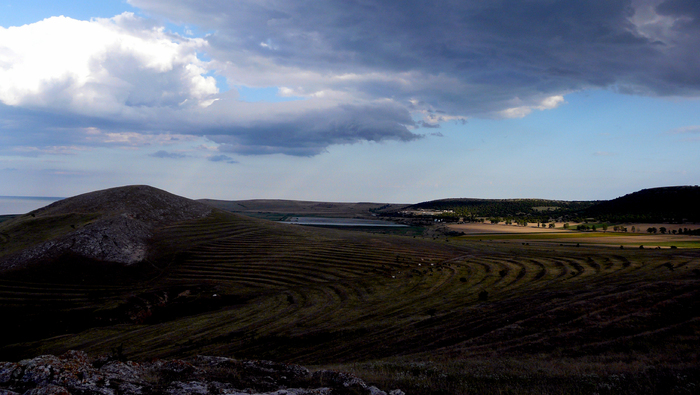 heracleea - Dobrogea