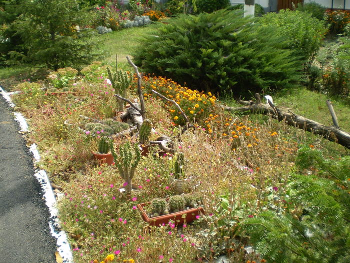 Manastirea Pasarea - curte