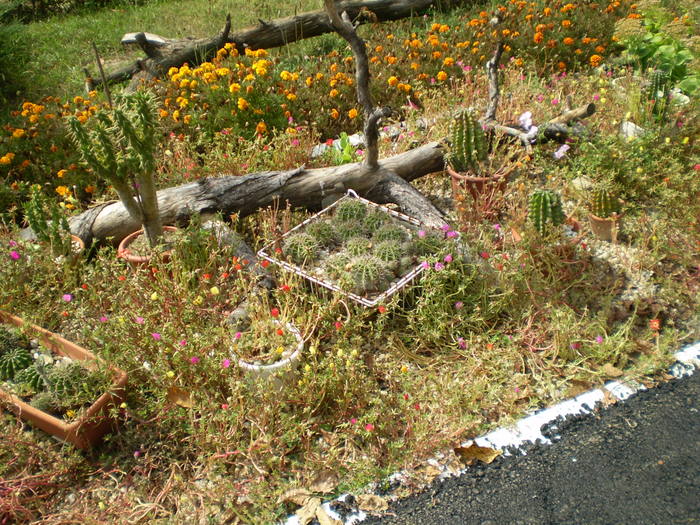 Manastirea Pasarea - curte