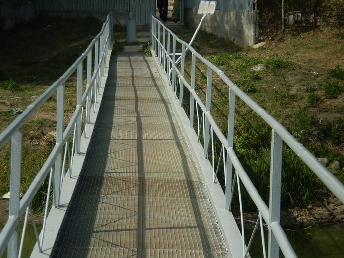 Podul Manastirii Pasarea