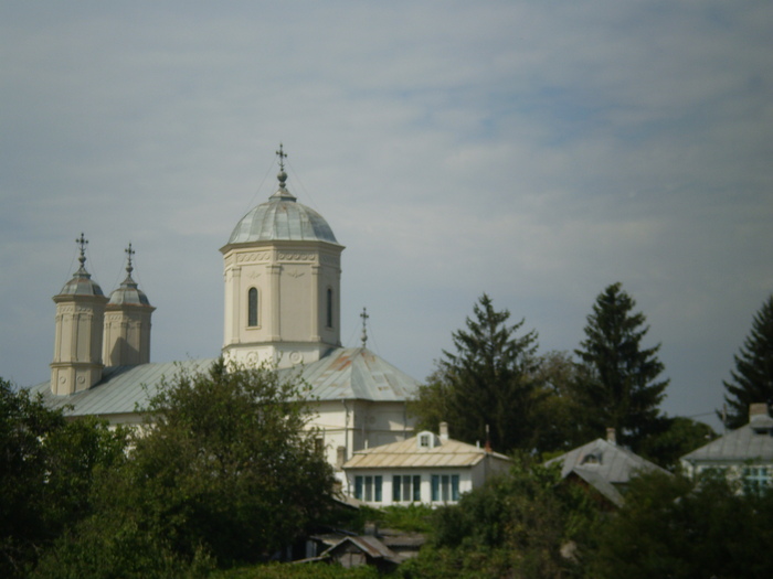 Manastirii Pasarea