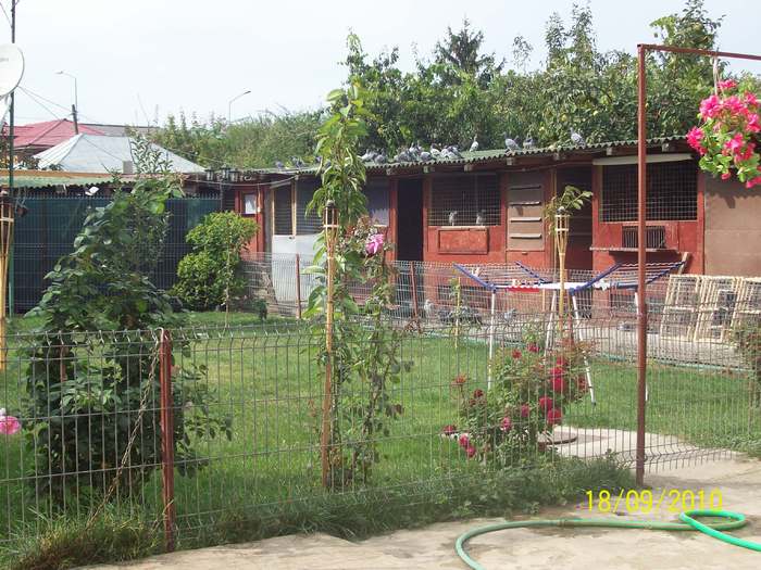 2010 (14) - pasiunii