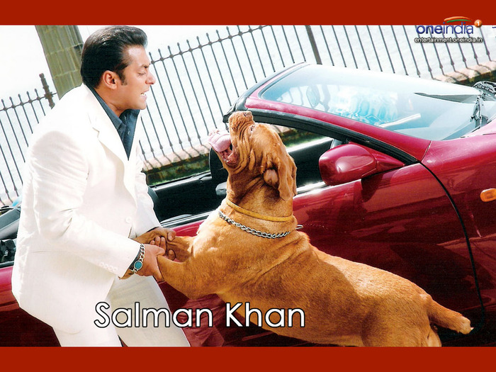 salman-khan03 - salman khan