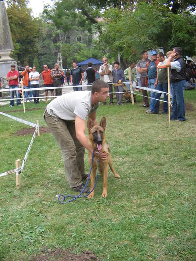 4 - CAC Alba Iulia 18 septembrie 2010