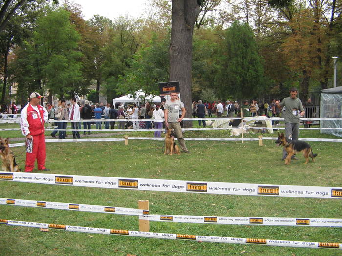 7 - CAC Alba Iulia 18 septembrie 2010