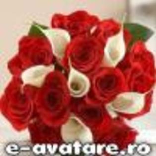 avatare_gratuite_40c118ff3fa365552c48f38851484424 - AVATARE HAIOASE