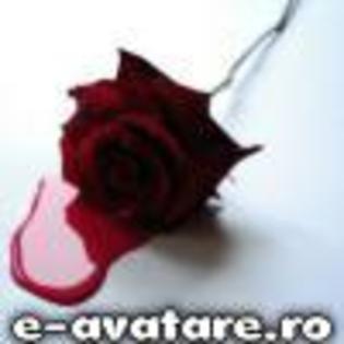 avatare_gratuite_58e53d2a4b56a4e92c6c221147ec2b37