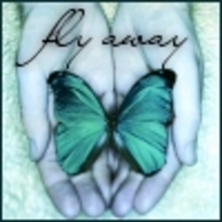 thumb_FlyAway36agh_png