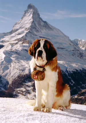 Saint-Bernard