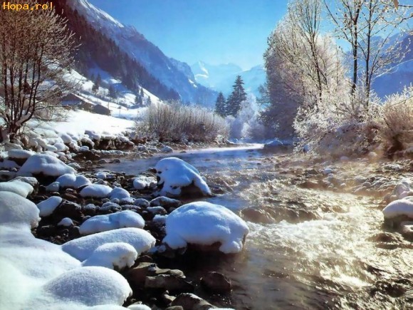 presimtirea-primaverii_1240412186