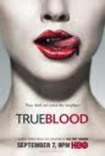 true blood