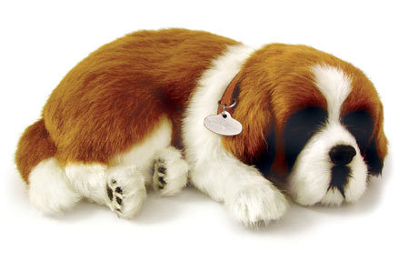 StBernard