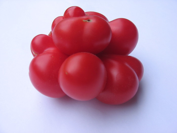 IMG_2889 - Tomate