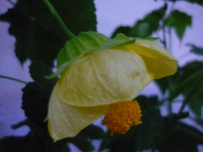 P1070702