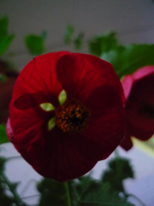 P1070706