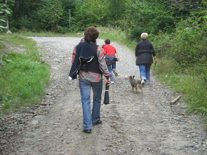 IMG_7821 - 08 - In Vrancea toamna partea a IV-a