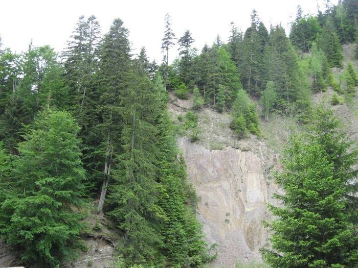 IMG_4381 - 01 - In Vrancea primavara partea a II-a