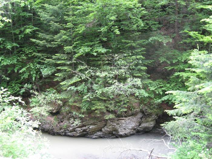 IMG_4386 - 01 - In Vrancea primavara partea a II-a