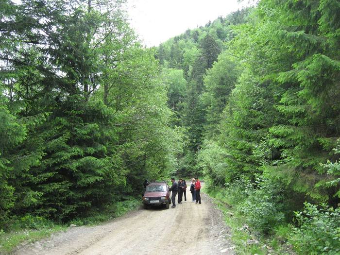 IMG_4392 - 01 - In Vrancea primavara partea a II-a