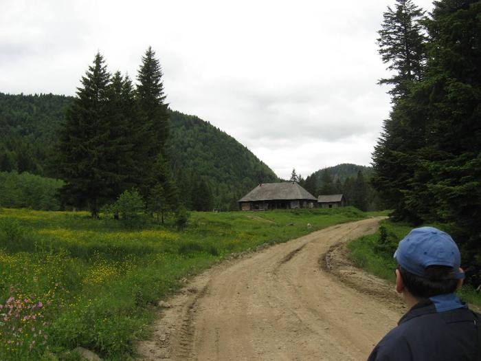 IMG_4398 - 01 - In Vrancea primavara partea a II-a