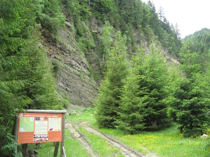 IMG_4400 - 01 - In Vrancea primavara partea a II-a