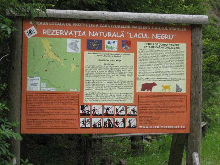 IMG_4401 - 01 - In Vrancea primavara partea a II-a