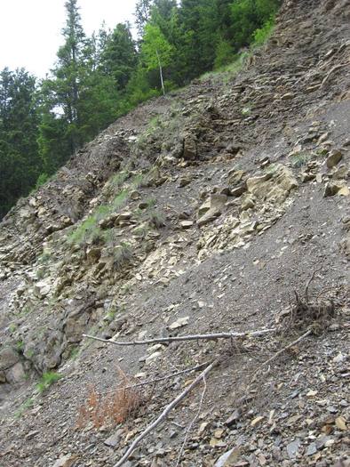 IMG_4408 - 01 - In Vrancea primavara partea a II-a