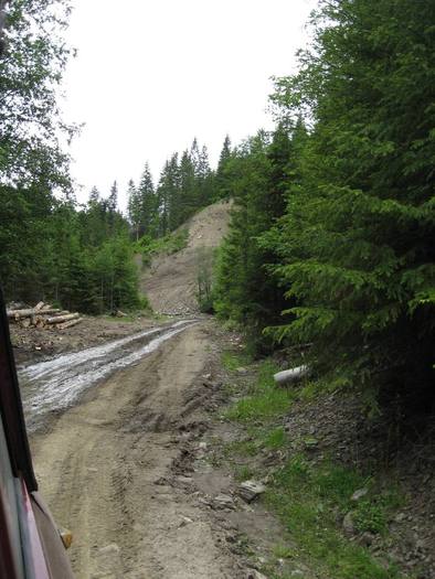 IMG_4410 - 01 - In Vrancea primavara partea a II-a