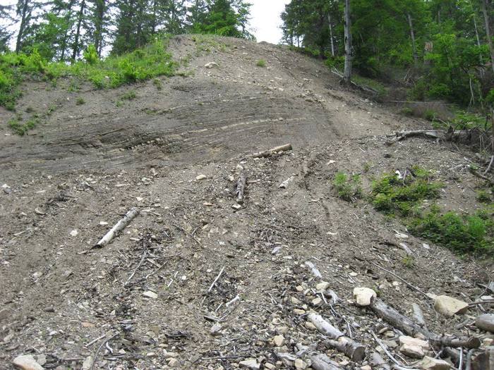 IMG_4412 - 01 - In Vrancea primavara partea a II-a