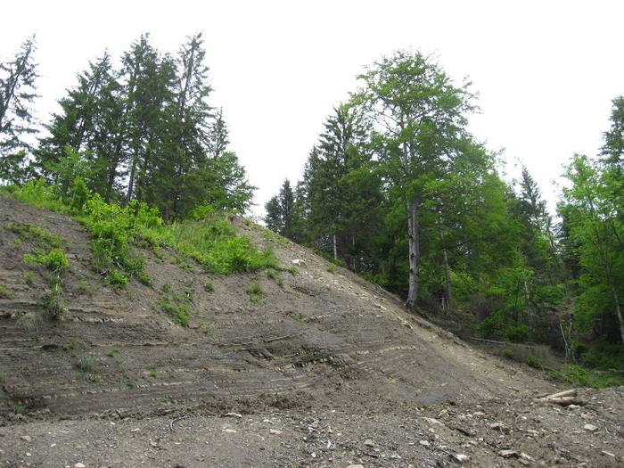 IMG_4413 - 01 - In Vrancea primavara partea a II-a