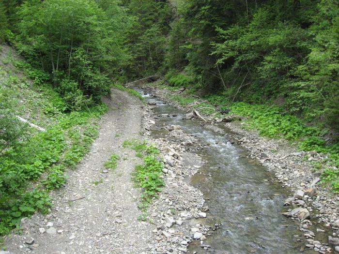 IMG_4417 - 01 - In Vrancea primavara partea a II-a