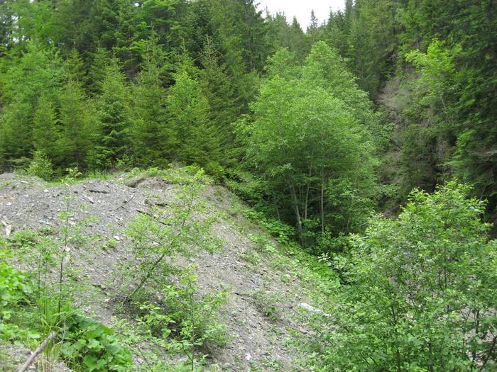 IMG_4418 - 01 - In Vrancea primavara partea a II-a