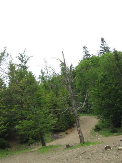 IMG_4428 - 01 - In Vrancea primavara partea a II-a