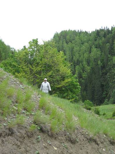 IMG_4435 - 01 - In Vrancea primavara partea a II-a